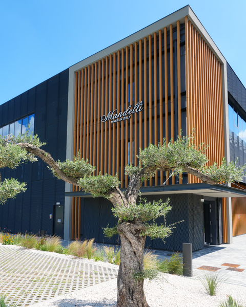 Mandelli store